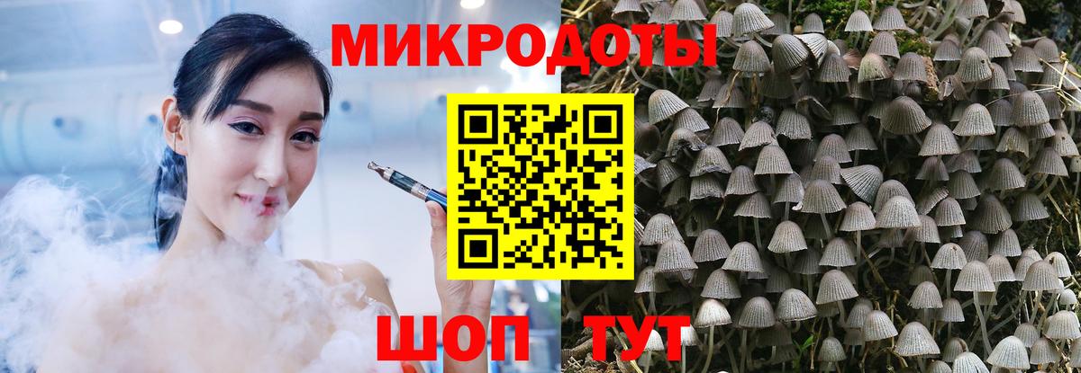 Псилоцибиновые грибы Psilocybe Советск