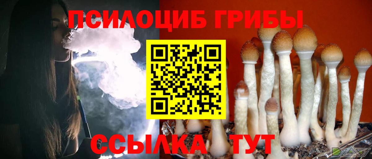 Советск  Галлюциногенные грибы мухоморы  Вход с VPN  Галлюциногенные грибы MAGIC MUSHROOMS 